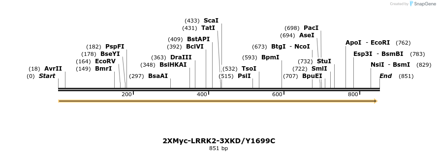 31071_map