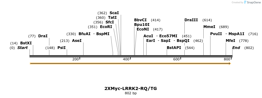 31076_map