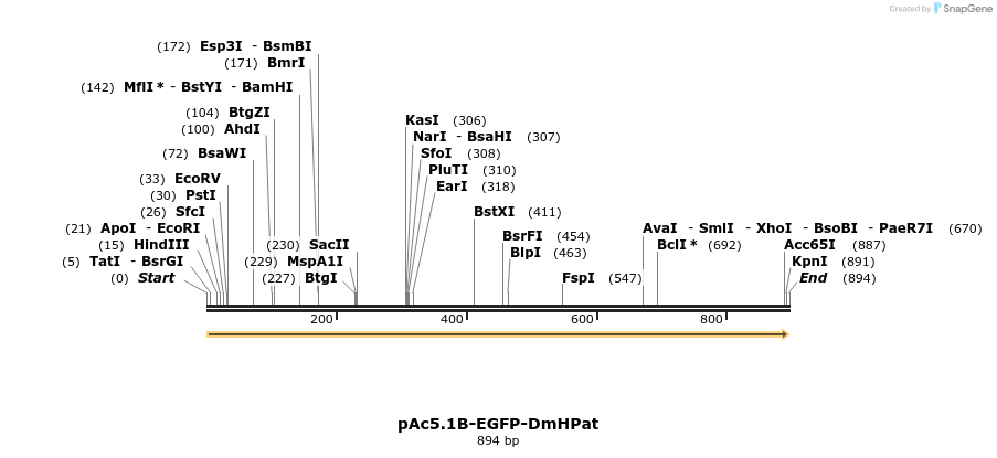 31077_map