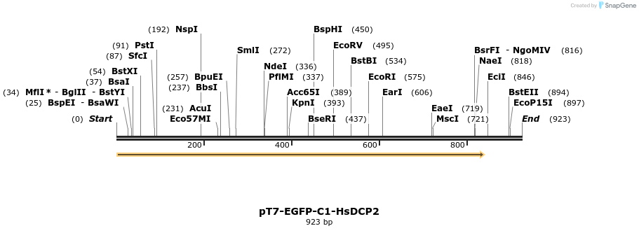 31079_map