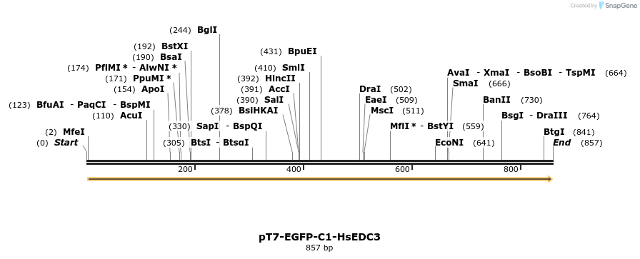 31080_map
