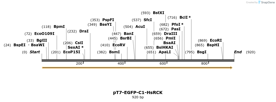 31081_map