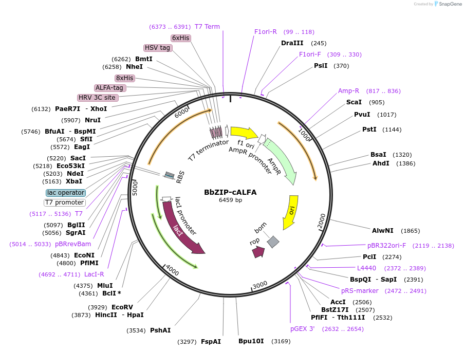 310811_map