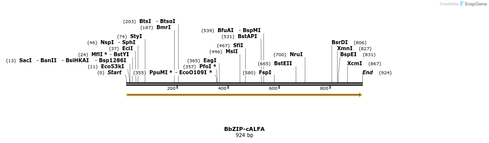 310812_map