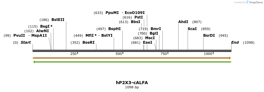 310814_map