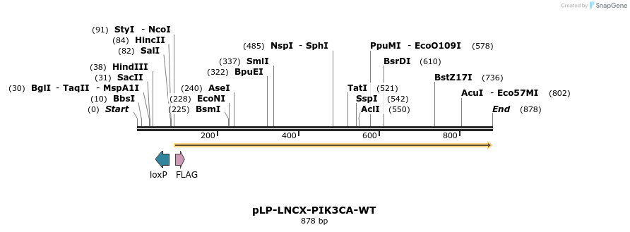 31084_map