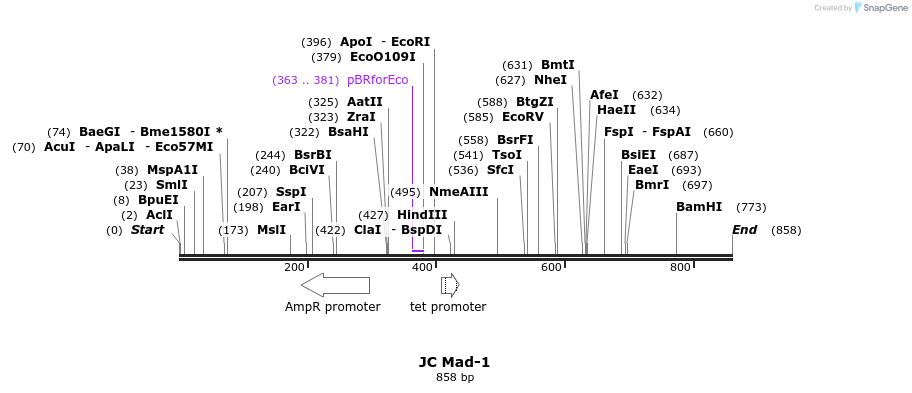 31090_map