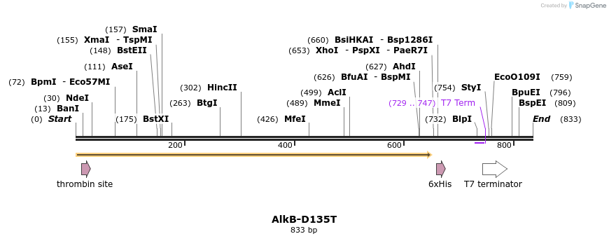 310901_map