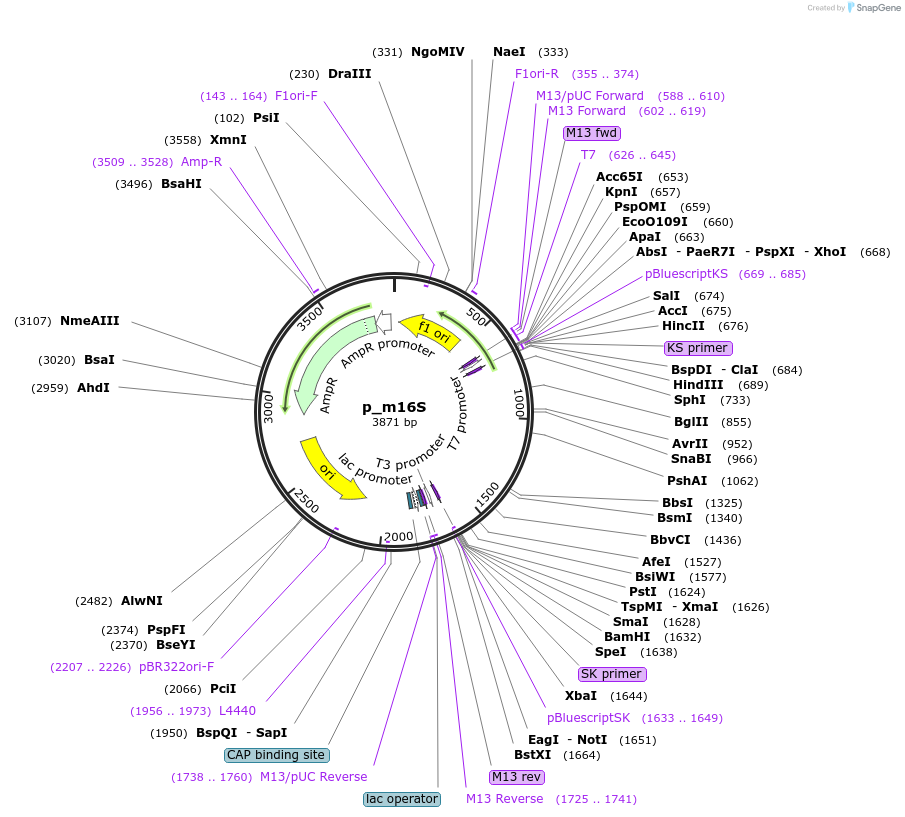 310913_map