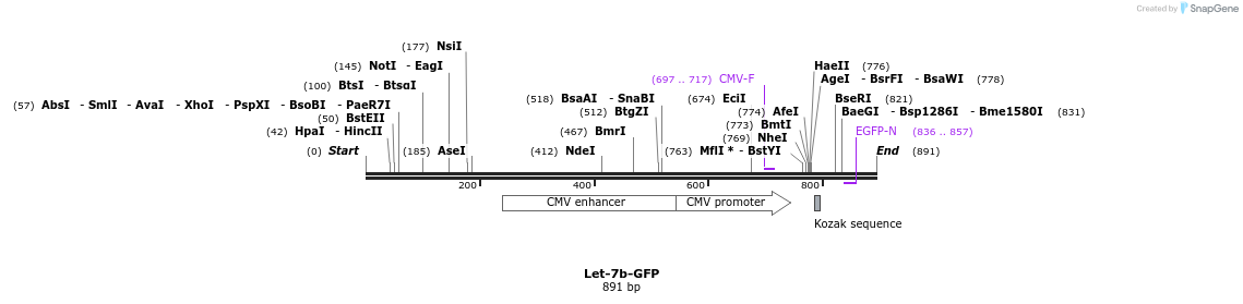 31094_map