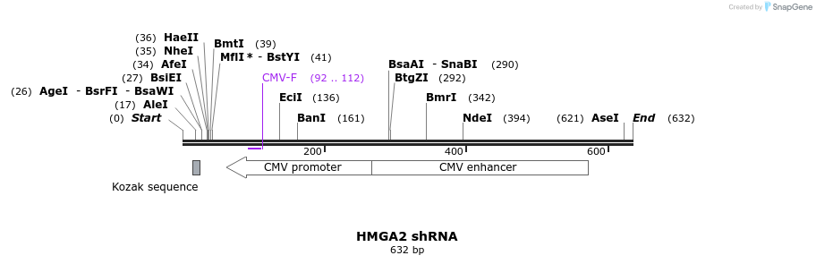 31099_map