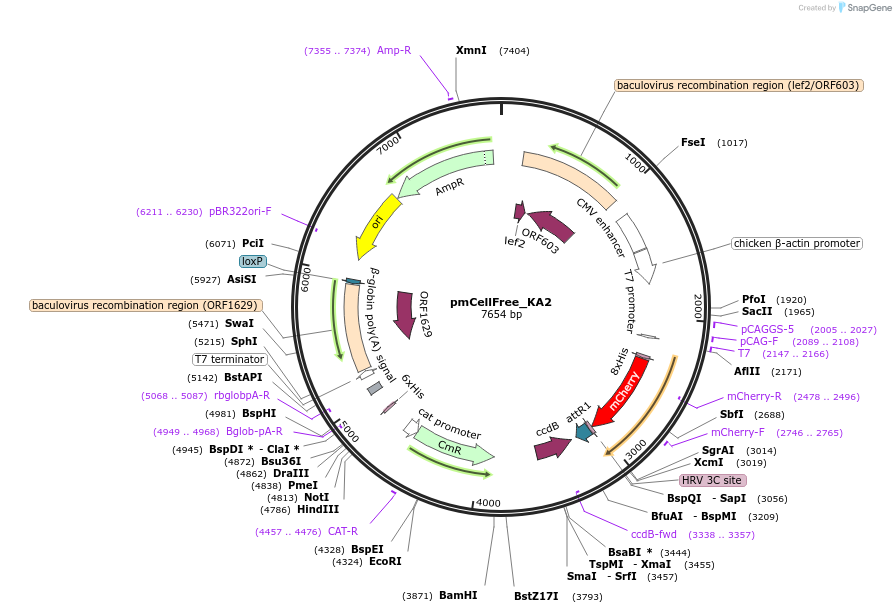 311012_map