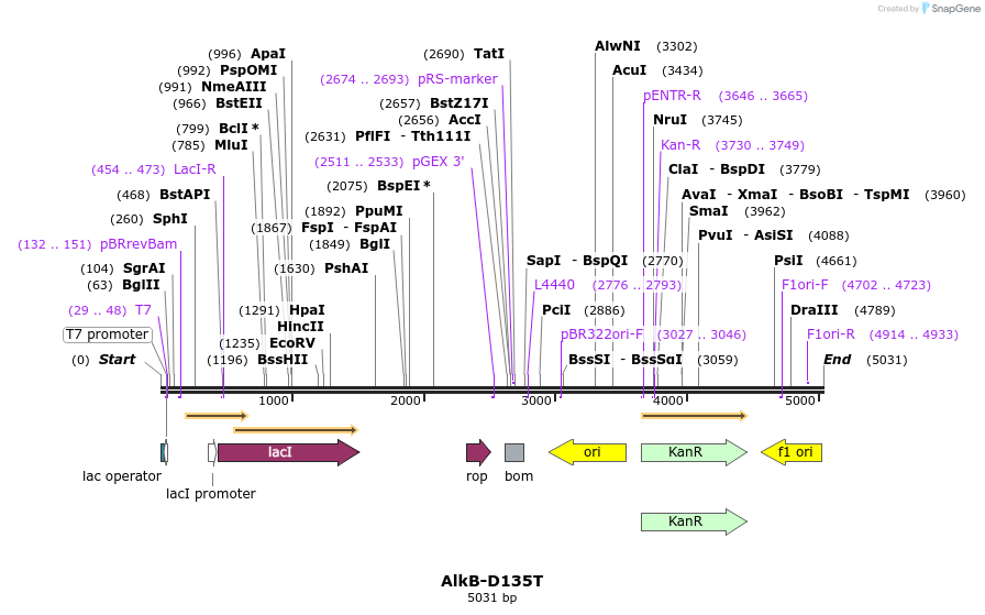 311016_map