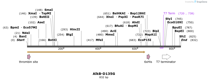 311018_map