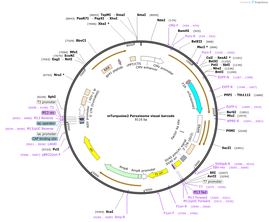 311030_map
