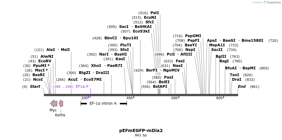 31106_map