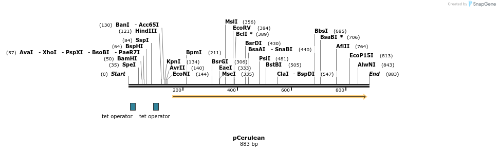 31111_map