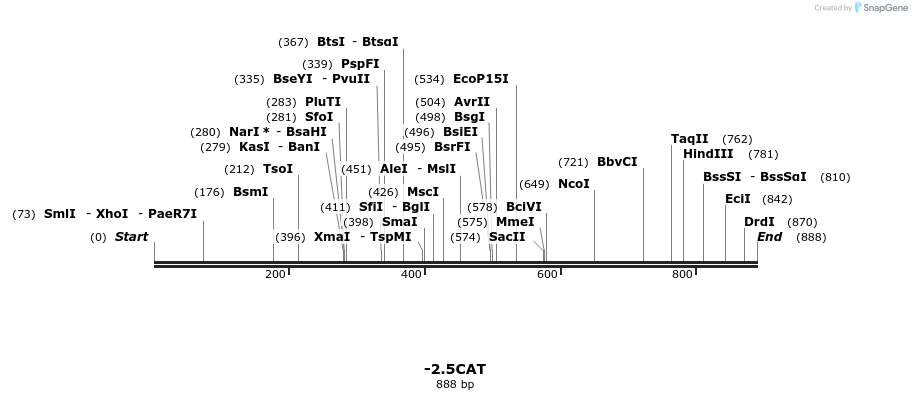 31118_map