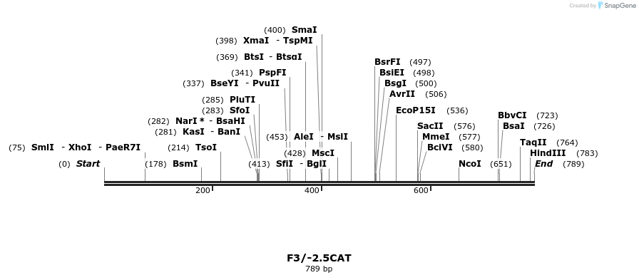 31119_map