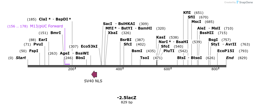 31120_map