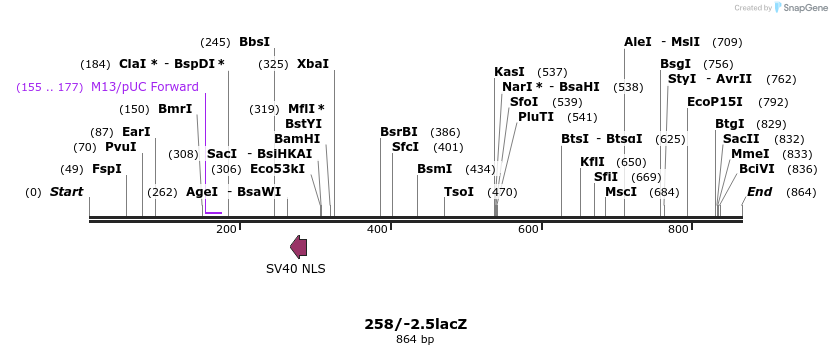 31121_map