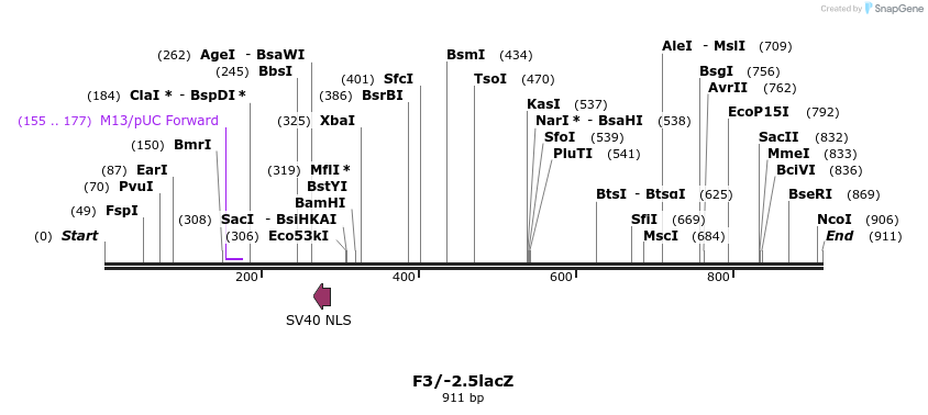 31122_map