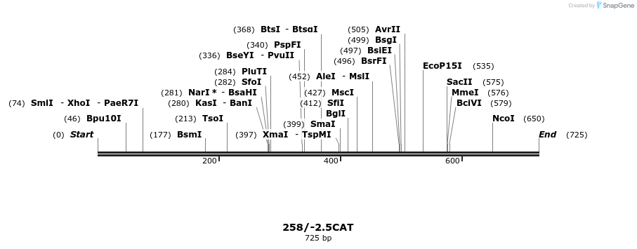 31123_map