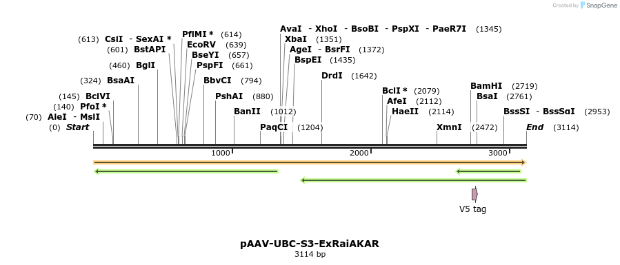 311258_map