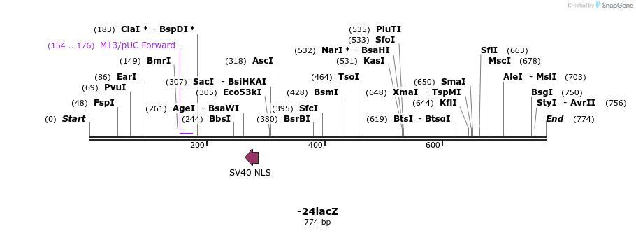 31126_map