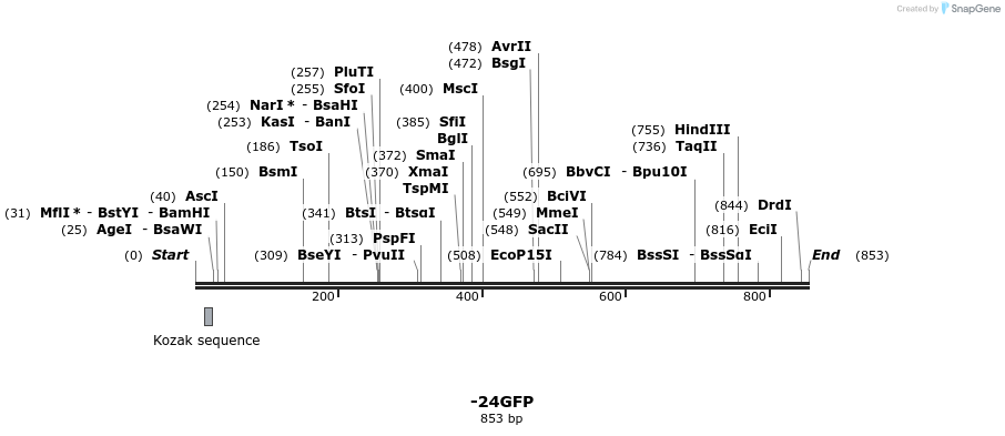 31127_map