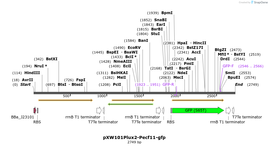 311324_map