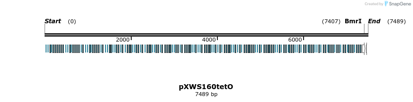 311330_map