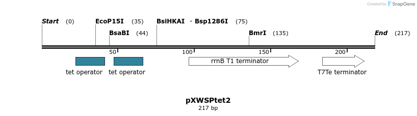 311332_map