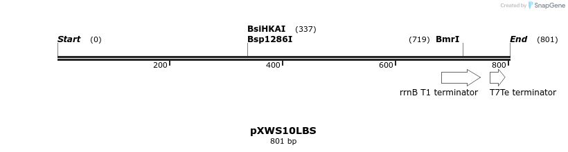 311338_map