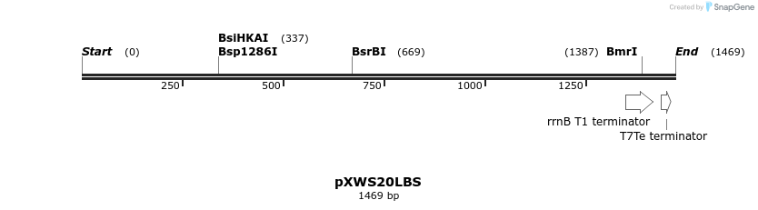 311339_map