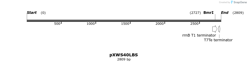 311340_map