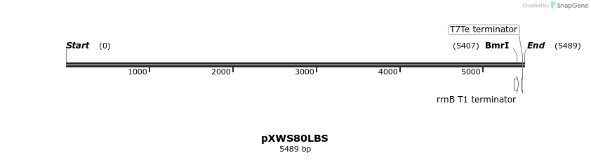 311341_map