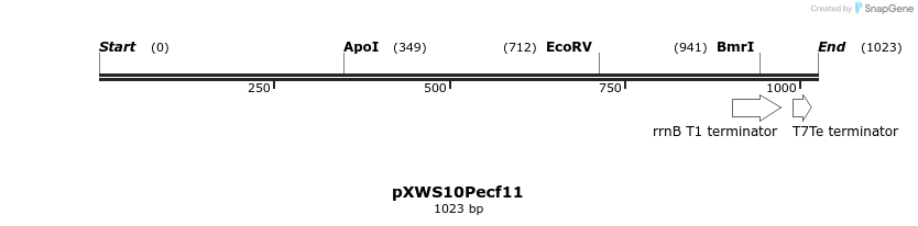 311343_map