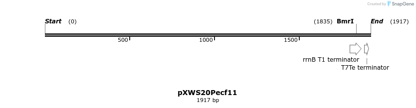 311344_map