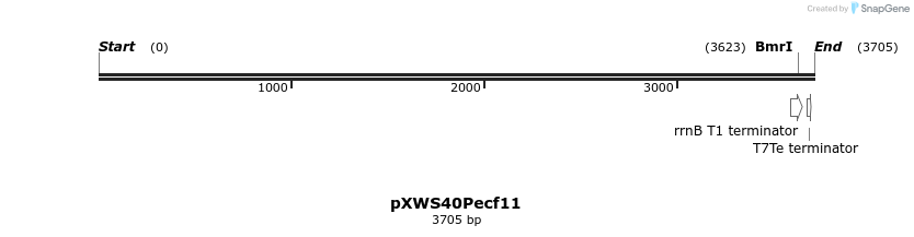 311345_map