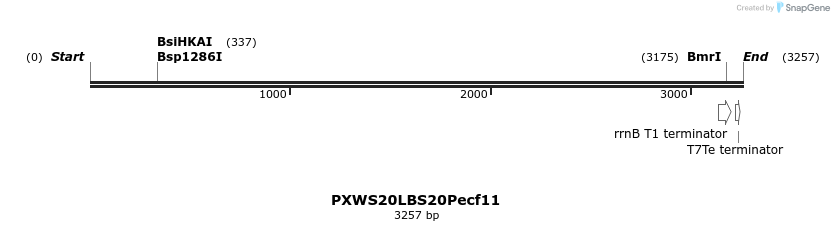 311348_map