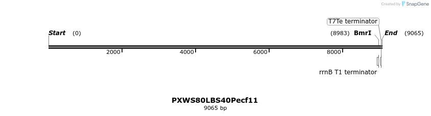 311349_map