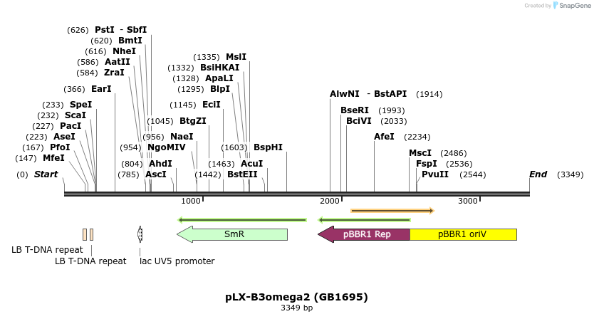 311352_map