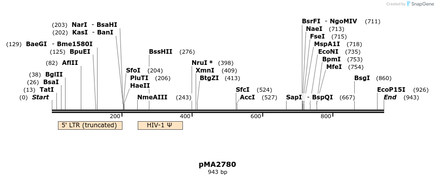 31144_map