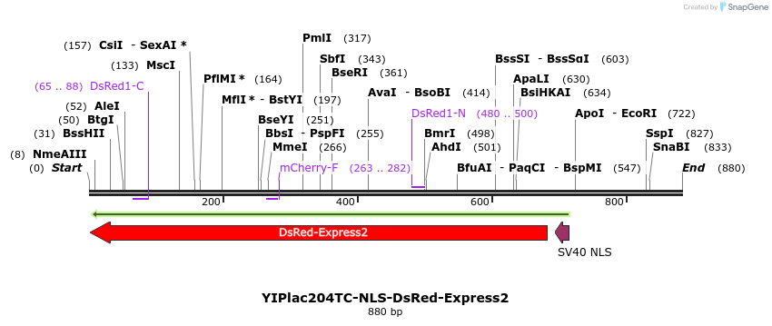 31146_map