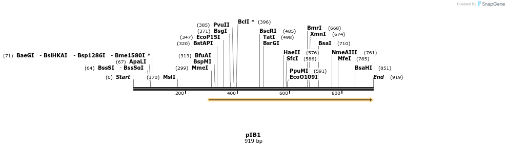 31151_map