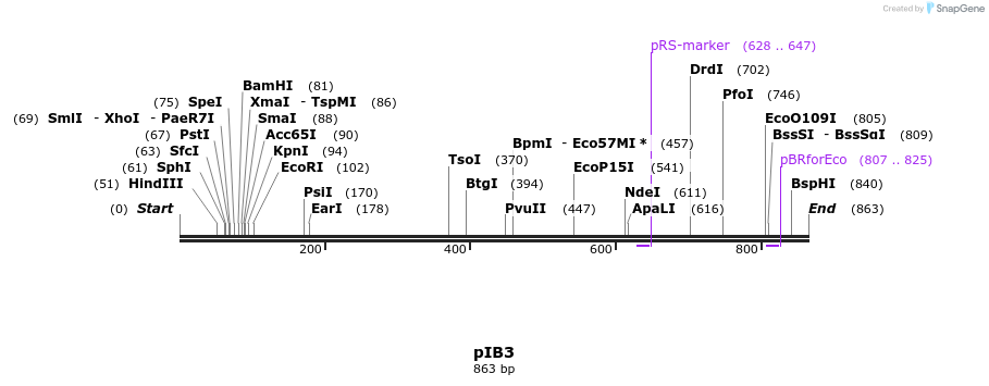31154_map