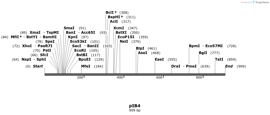 31156_map
