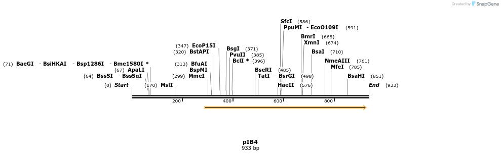 31157_map