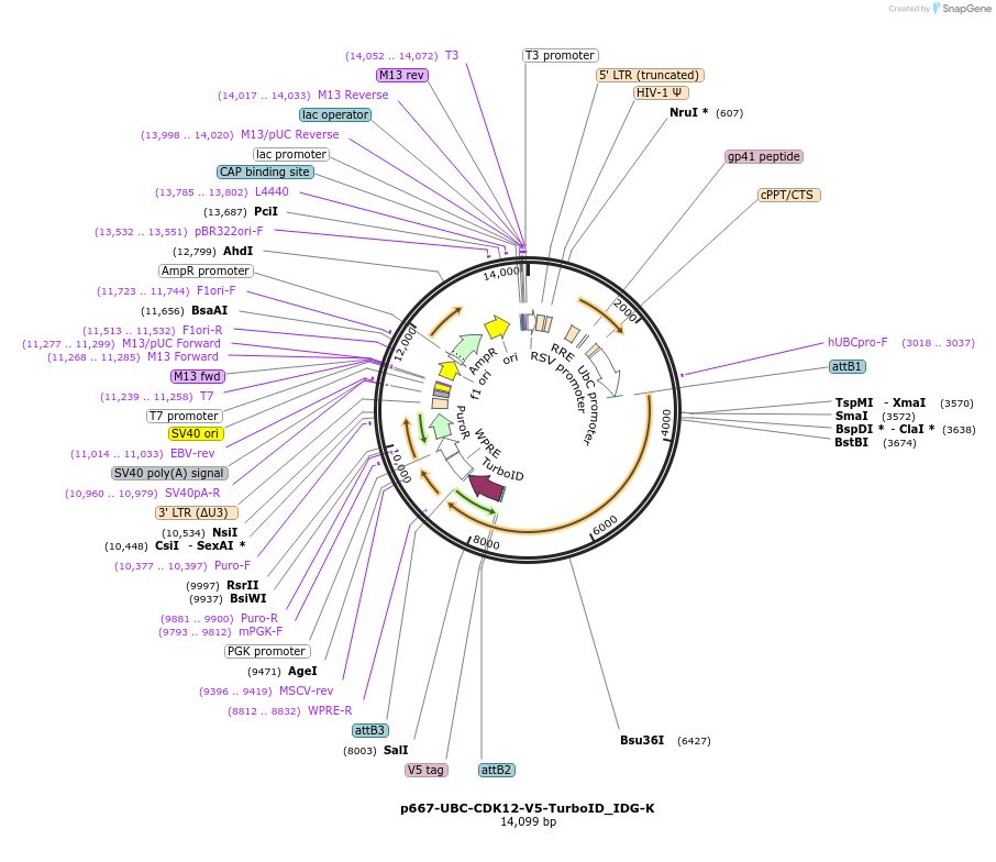 311575_map